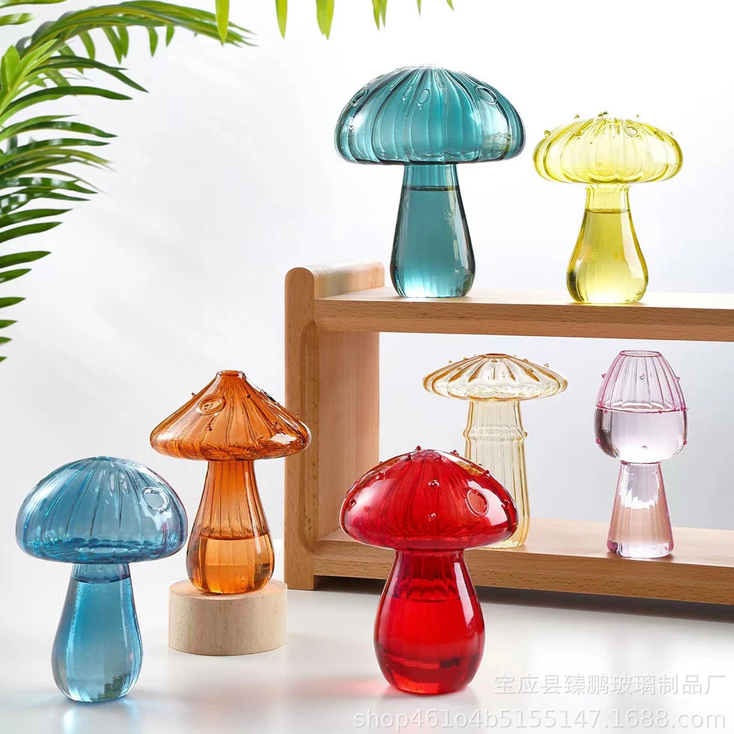 Glass propagation vases