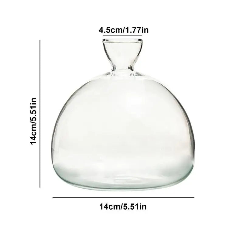 Glass propagation vases