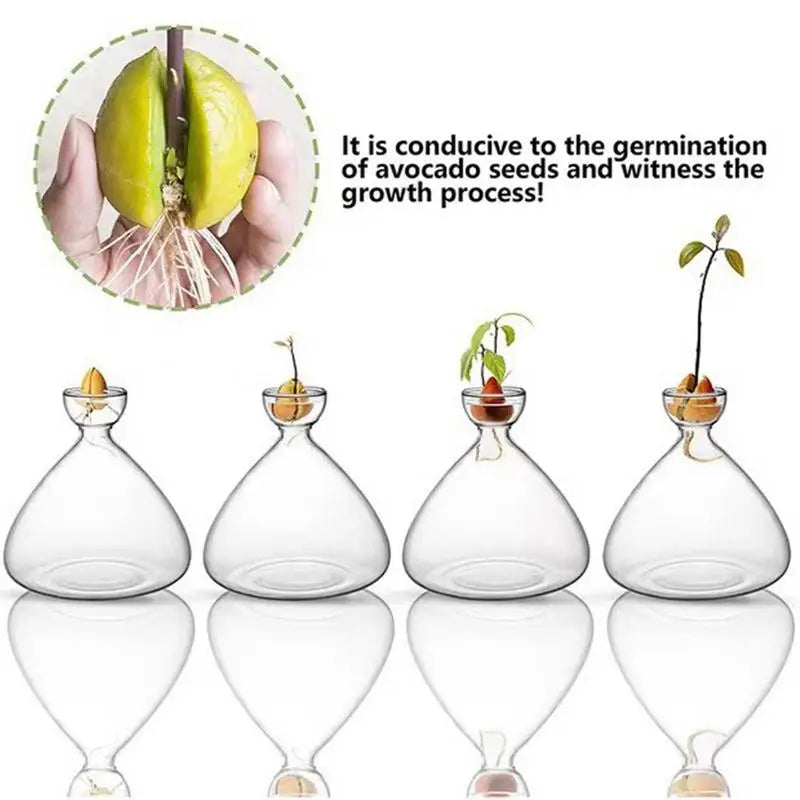 Glass propagation vases